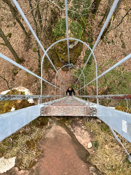 24-03-01 13-35-53 8874.jpeg